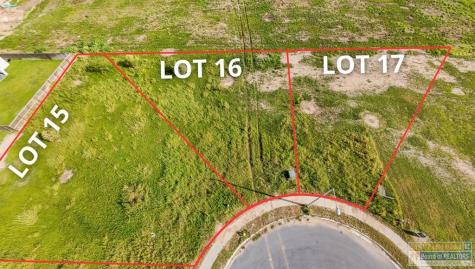 Heron Drive Los Fresnos TX 78566