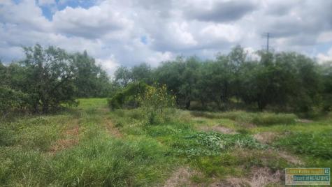 31099 Fm 1575 Los Fresnos TX 78566