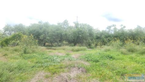 31099 Fm 1575 Los Fresnos TX 78566