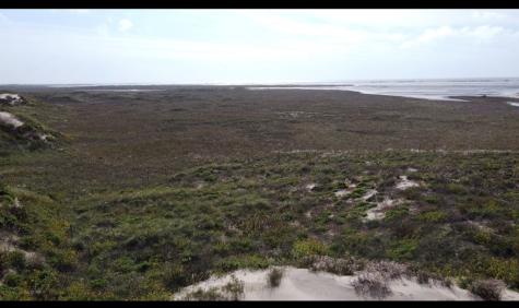 Tbd N Abstract 260 South Padre Island TX 78597