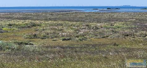 Lot 41 Tract 25 South Padre Island TX 78597