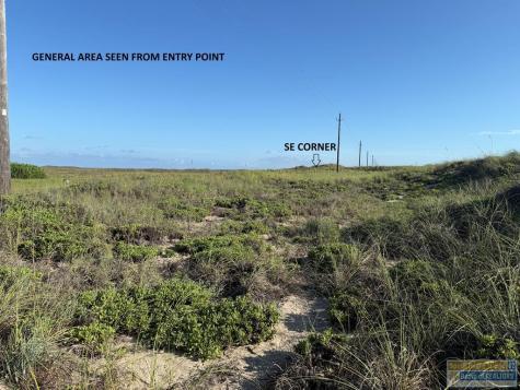 Waugh Abstract 260 South Padre Island TX 78597