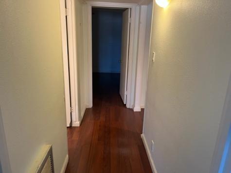 Oleander Drive South Padre Island TX 78597