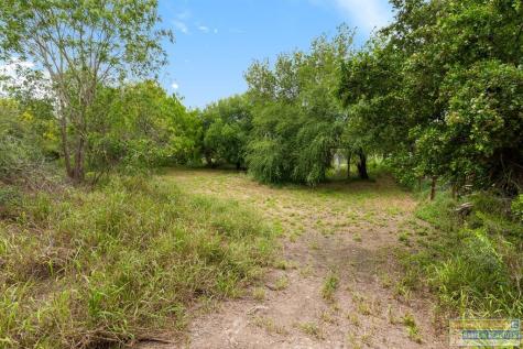 34511 Ebony Lane San Benito TX 78586