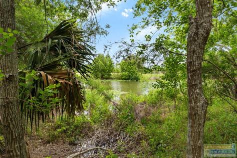 34511 Ebony Lane San Benito TX 78586