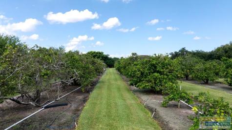 123 Chachalaca Drive Bayview TX 78578