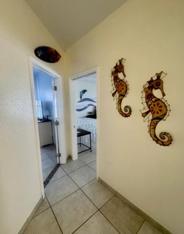 126 E Red Snapper Street South Padre Island TX 78578