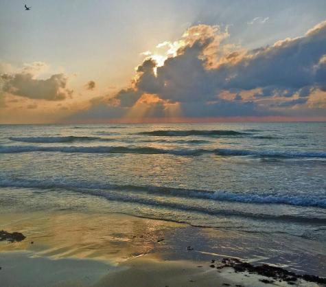 1108 Bass Avenue Port Isabel TX 78578
