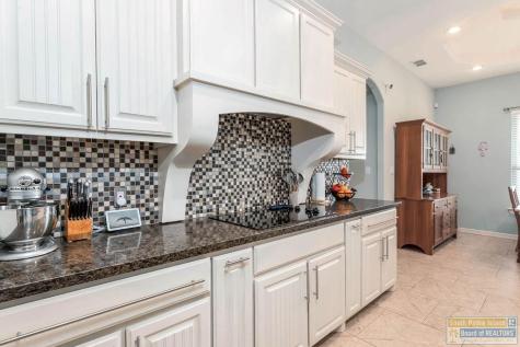 19 Whooping Crane Drive Laguna Vista TX 78578