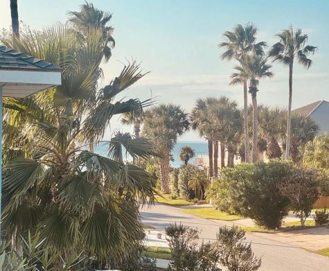 217 W Oleander Drive South Padre Island TX 78597