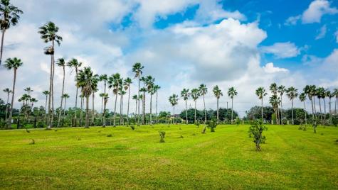 Chachalaca Drive Bayview TX 78566