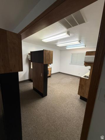 209 W 200 N Roosevelt UT 84066