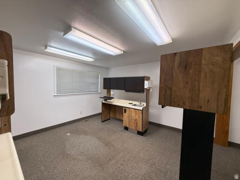 209 W 200 N Roosevelt UT 84066