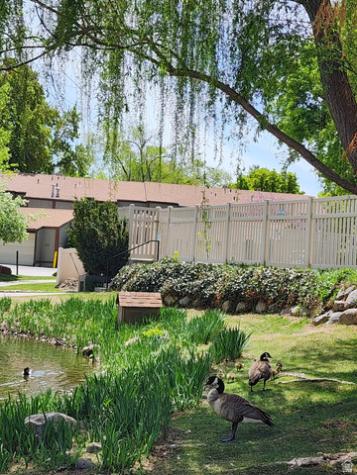 5402 S Willow Lane E Murray UT 84107