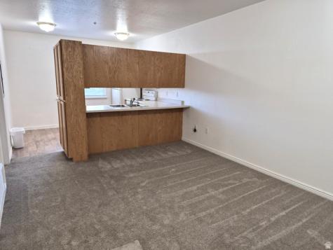 502 S 1040 E American Fork UT 84003