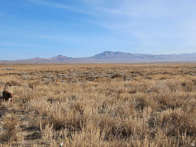 Park Valley UT 84329