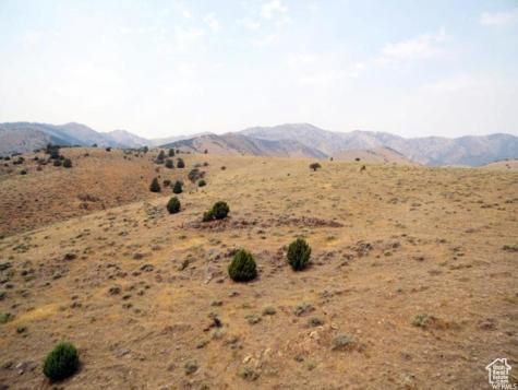 Grantsville UT 84029