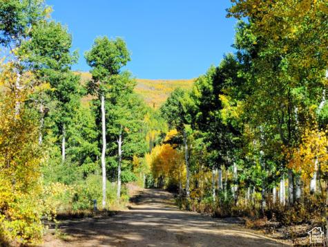11457 E Marigold Lane Heber City UT 84032