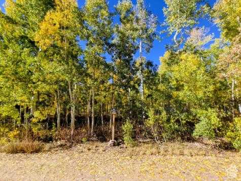 11457 E Marigold Lane Heber City UT 84032