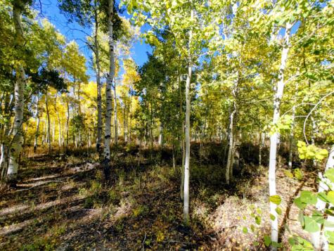 11457 E Marigold Lane Heber City UT 84032