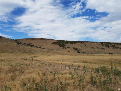 Vernon UT 84080