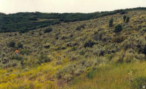 Coalville UT 84017
