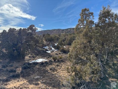 Roosevelt UT 84066