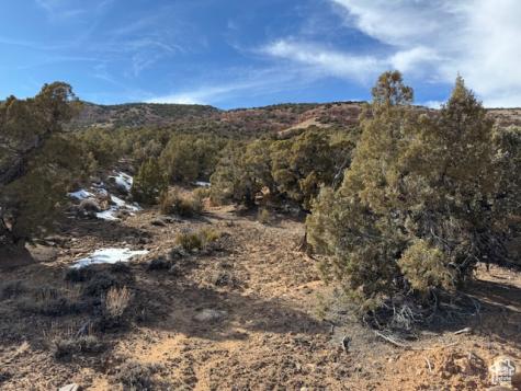 Roosevelt UT 84066