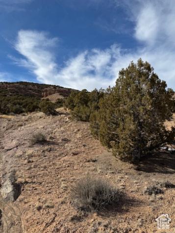 Roosevelt UT 84066