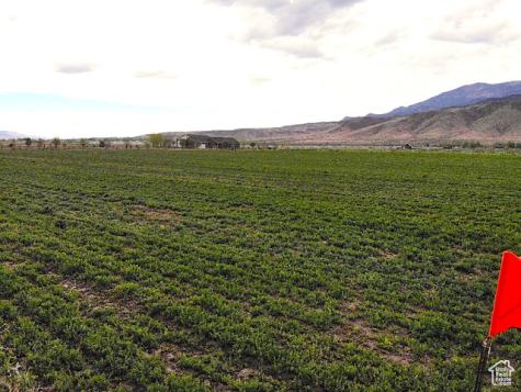 Monroe UT 84754