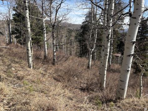 2185 S Uintah View Drive Wanship UT 84017
