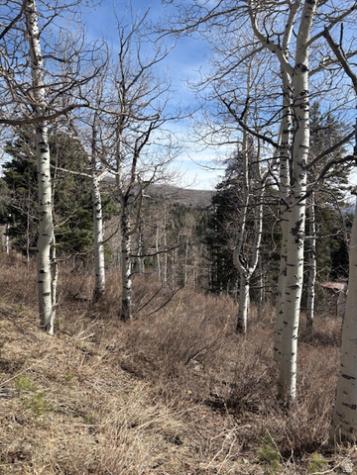 2185 S Uintah View Drive Wanship UT 84017