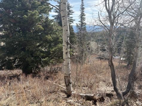 2185 S Uintah View Drive Wanship UT 84017