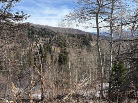 2185 S Uintah View Drive Wanship UT 84017