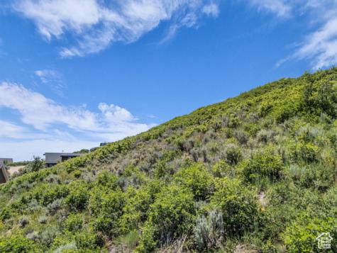293 Ridge Top Road Wanship UT 84017