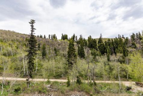 1968 Uintah View Drive Coalville UT 84017