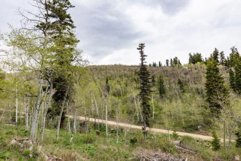 1968 Uintah View Drive Coalville UT 84017