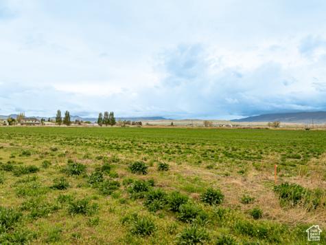 Monroe UT 84754