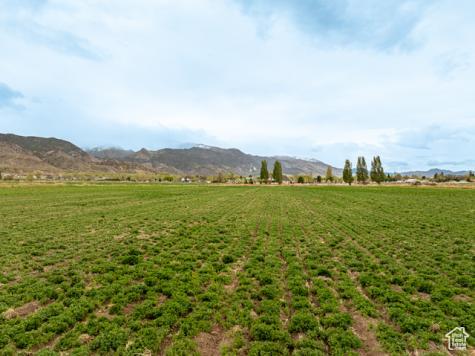 Monroe UT 84754