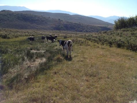 60 Corral Road Kamas UT 84036