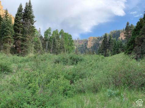 Cedar City UT 84720
