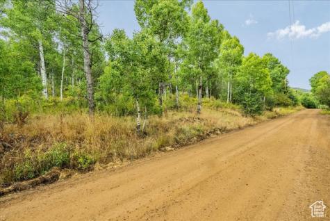 5397 E Colter Road Oakley UT 84055