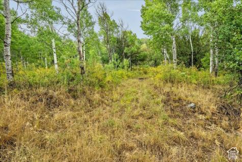 5397 E Colter Road Oakley UT 84055