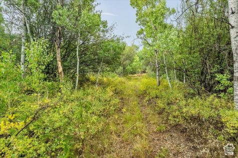 5397 E Colter Road Oakley UT 84055