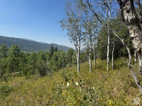 5397 E Colter Road Oakley UT 84055