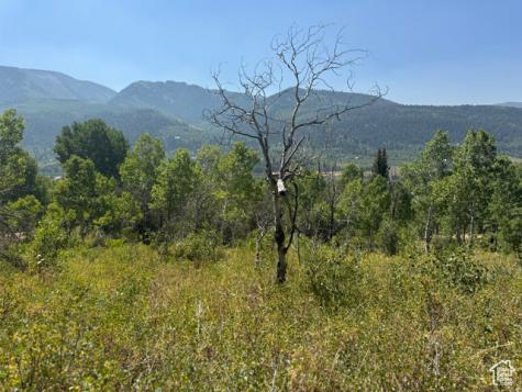 5397 E Colter Road Oakley UT 84055