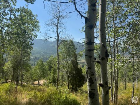 5397 E Colter Road Oakley UT 84055