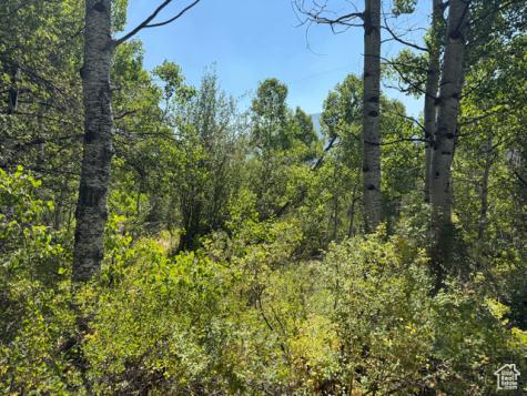 5397 E Colter Road Oakley UT 84055