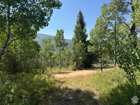5397 E Colter Road Oakley UT 84055