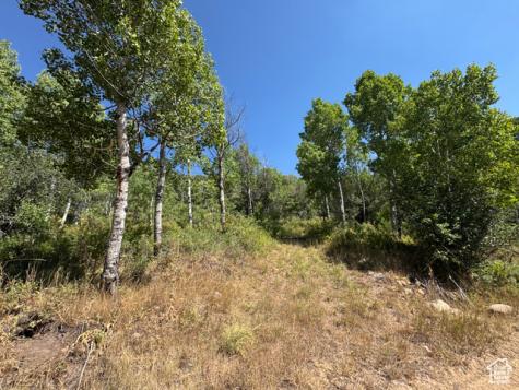 5397 E Colter Road Oakley UT 84055